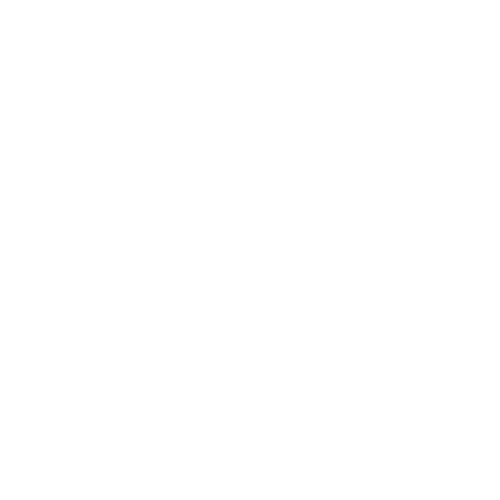 House Icon 1