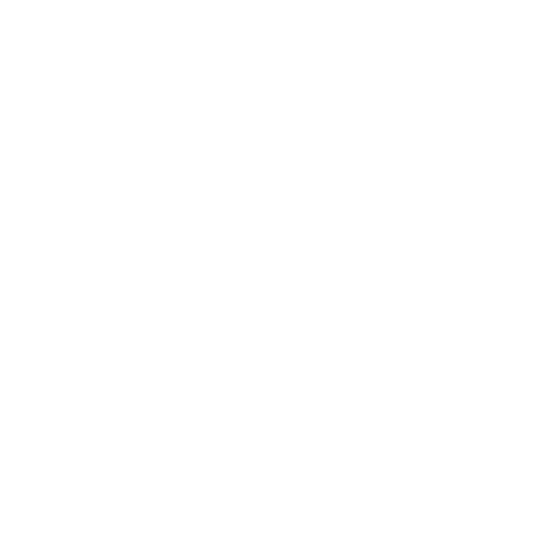 House Icon 3